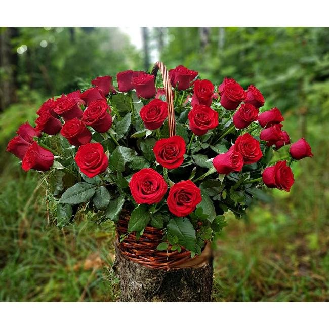 ОЧАРОВАНИЕ