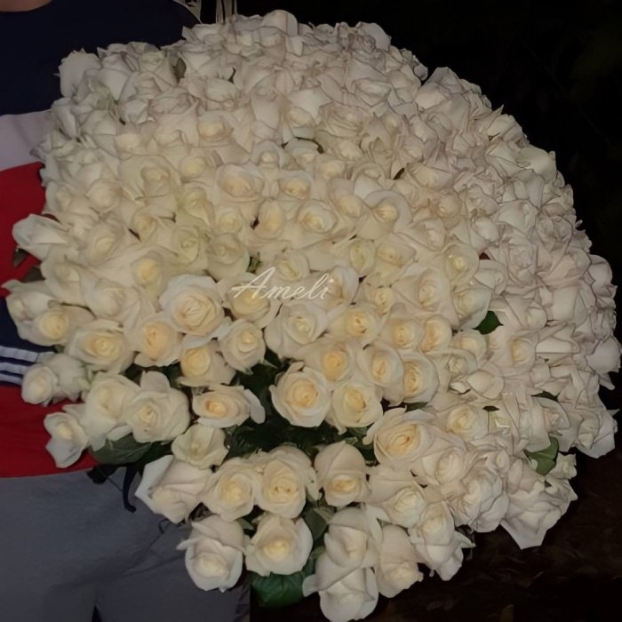 Букет из 151 белой розы «Вдохновение» — доставка цветов 