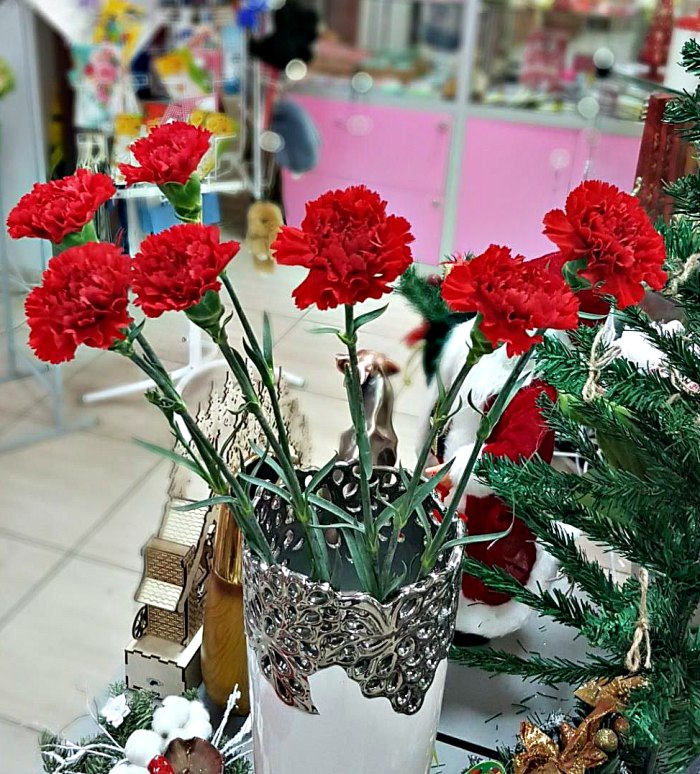 Гвоздика красная (поштучно) — доставка цветов 