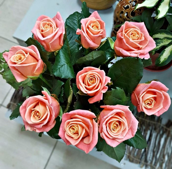 Роза Miss Piggy розовая, 70 см (поштучно) — доставка цветов 