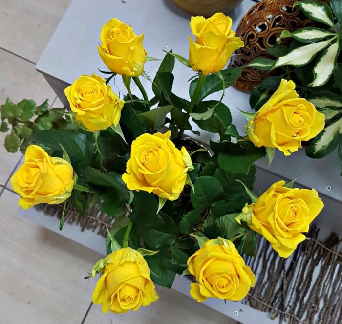 Роза Penny Lane, 70 см (поштучно) — доставка цветов 